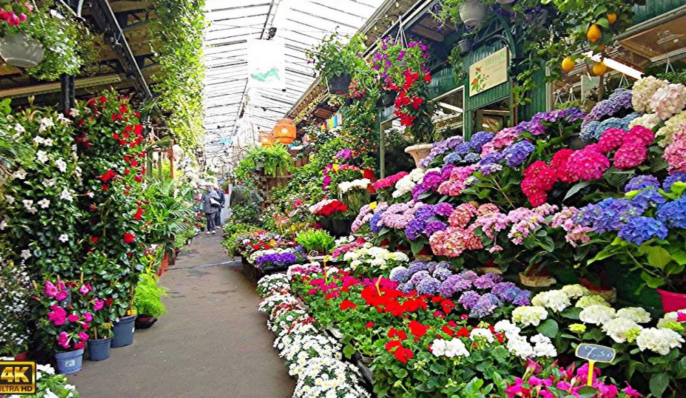 Spring in Paris France​