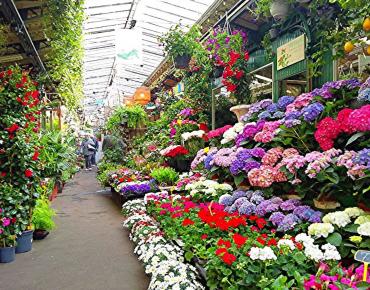 Spring in Paris France​