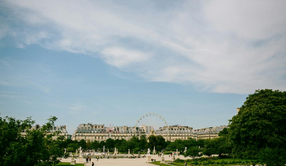 Les Meilleures Balades d'Automne Près de l'Île Saint Louis